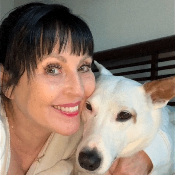 Jaxson . The Therapy Dog💙🐾 - Picture 2 of 4